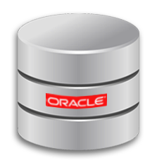 oracle DB 11g